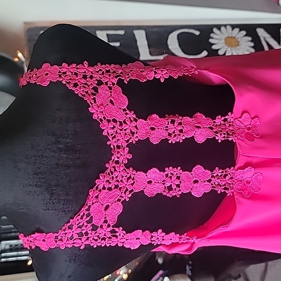 Aina Be NWOT Hot Pink Fully Lined Dress Sz L - Picture 5 of 5